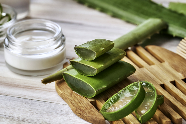 ALOE VERA LQX OIL – Lebermuth