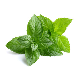 PEPPERMINT INDIAN OIL