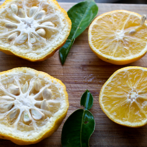 Jap_Citron_600x600_crop_center