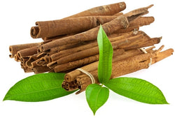 Insulevel: Herbs and Ingredients with Inulin + Cinnamon Tree +