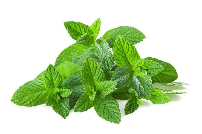 PEPPERMINT INDIAN REDISTILLED