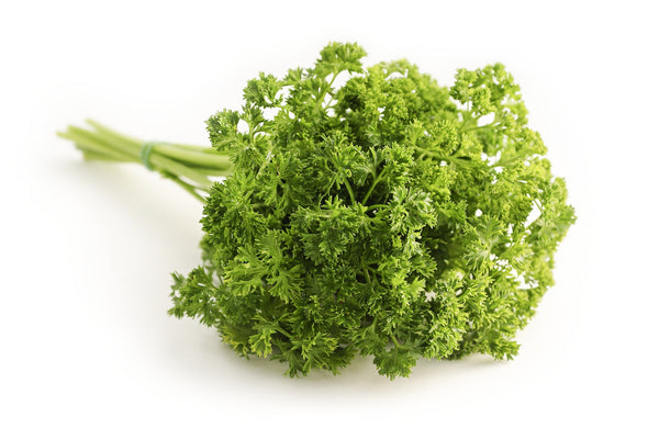 Parsely Herb
